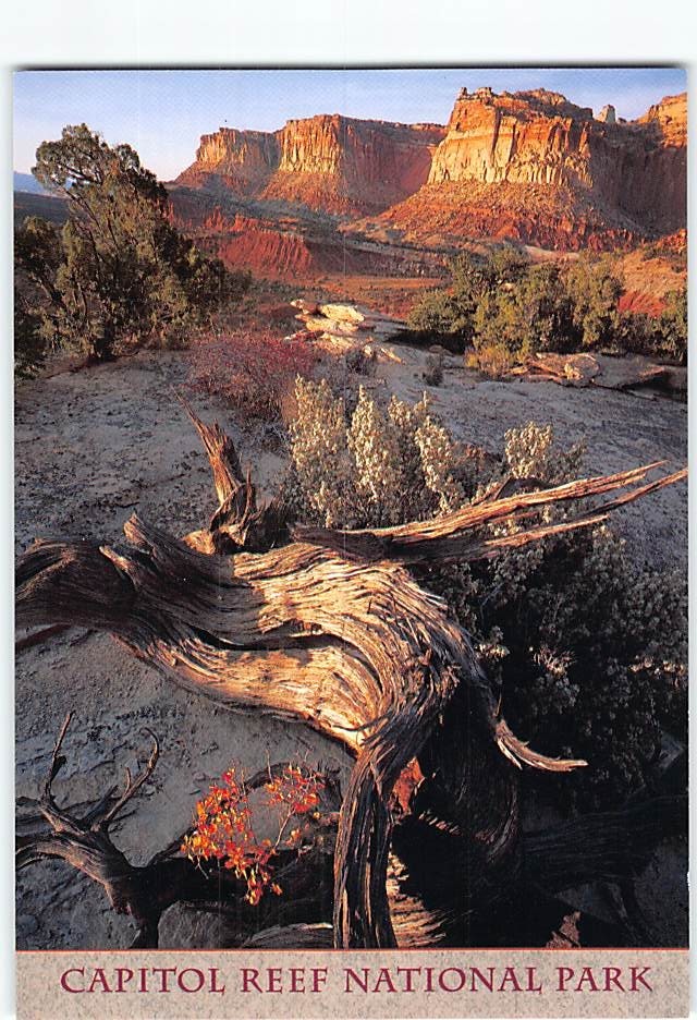 Postcard Capitol Reef National Park Utah USA