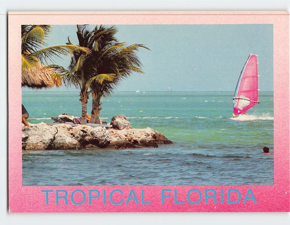 Postcard View Of Coastal  Tropical Florida