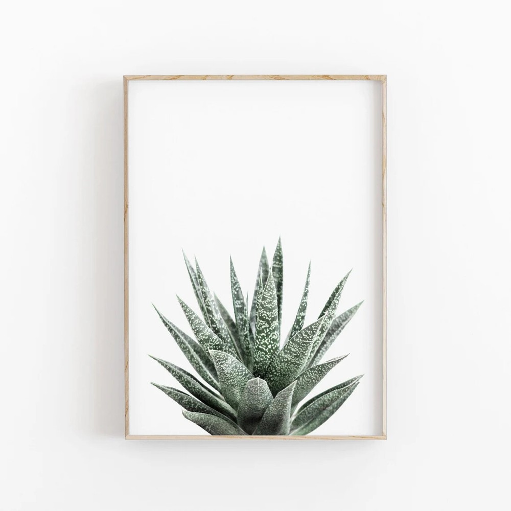 Succulent Botanical Wall Art Poster Premium Quality Choose your Size