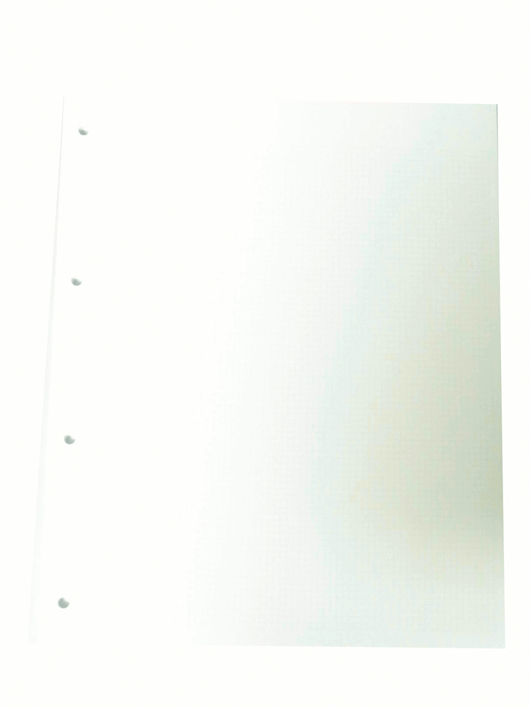 ACID FREE PAPER QUADRILLED / SQUARED PAGES FOR MOUNTING STAMPS - 4 HOLE PUNCHED-image