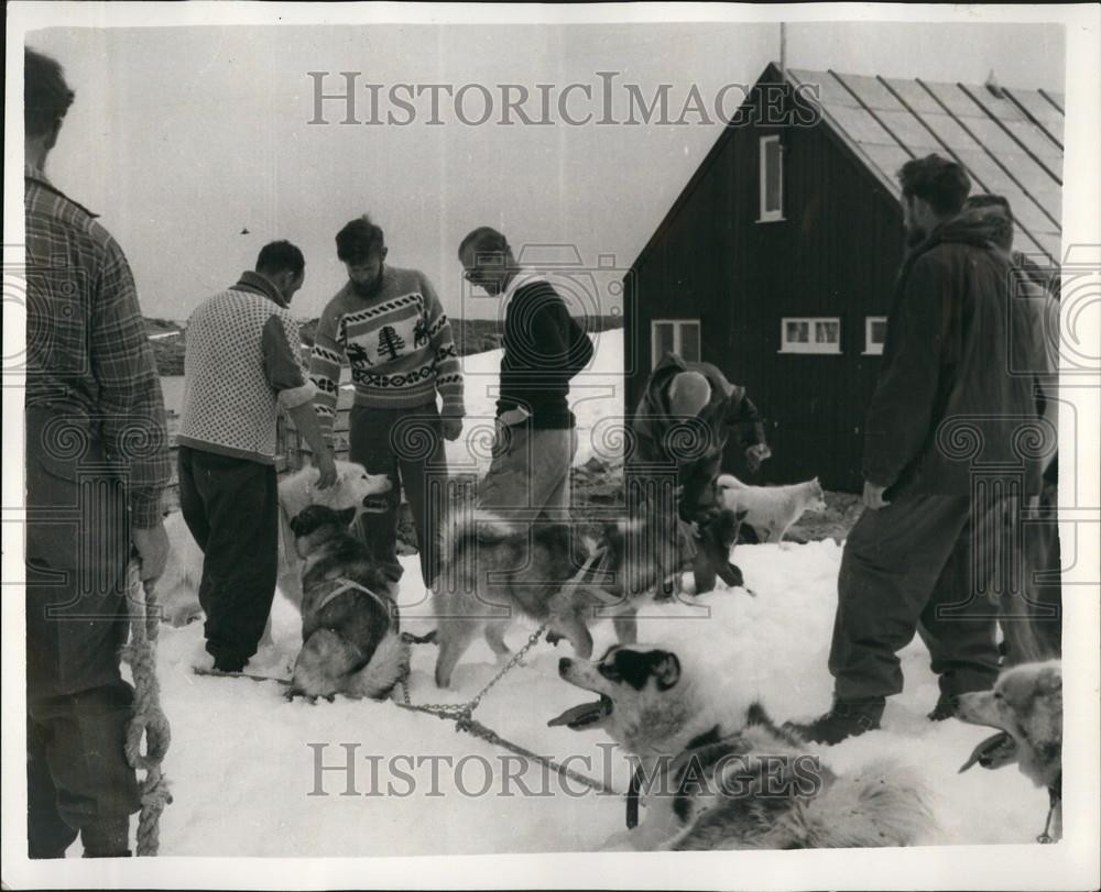 1957 Press Photo Duke of Edinburgh visits Falkland Islands takes a Sledge Ride.