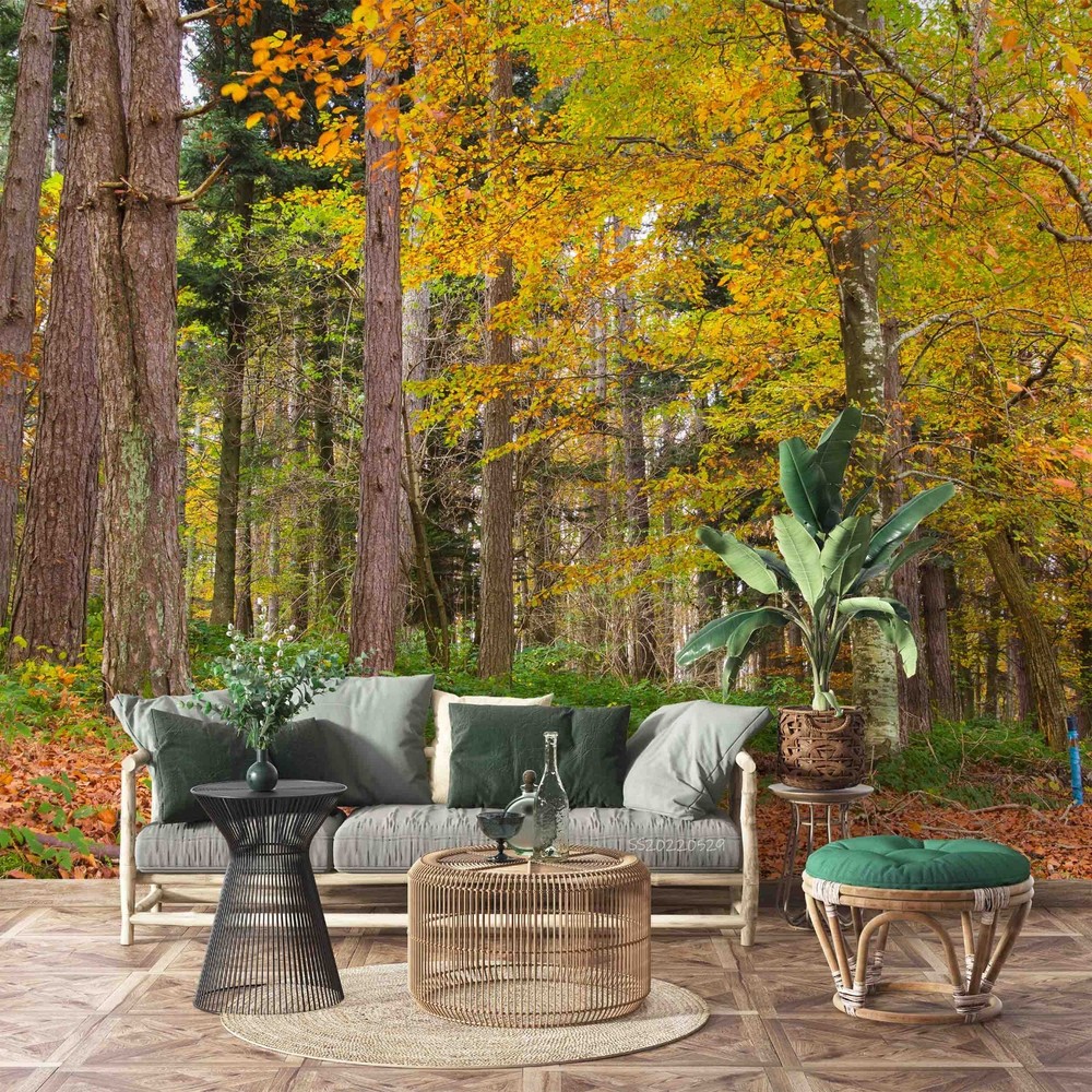 3D Forest Autumn Landscape Wall Murals Wallpaper Murals Wall Sticker