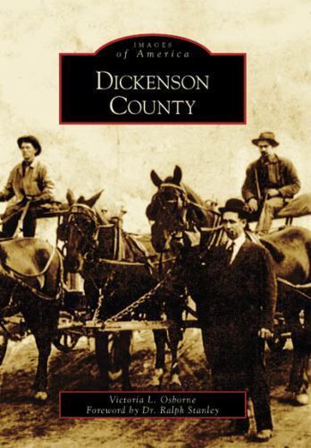Dickenson County, Va, Paperback by Osborne, Victoria L., Like New Used, Free ...
