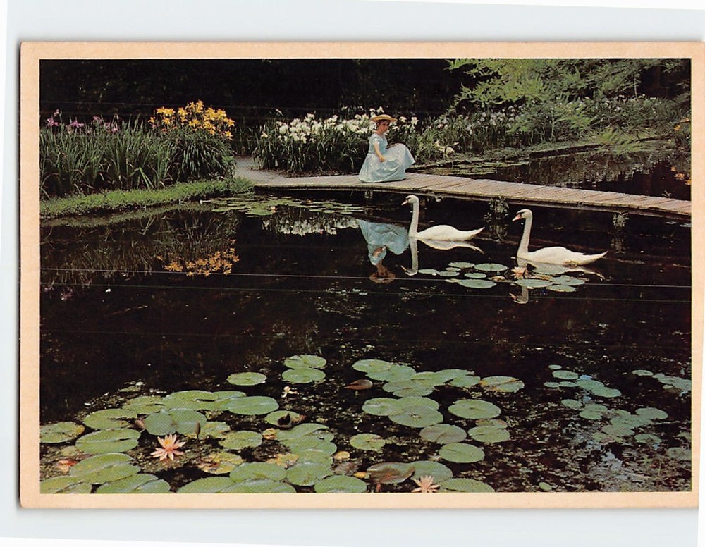 Postcard Swan Lake Gardens Sumter South Carolina USA