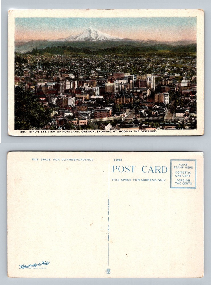 Portland, OR-Oregon, Birds Eye View Mt Hood in Distance Skyline Vintage Postcard