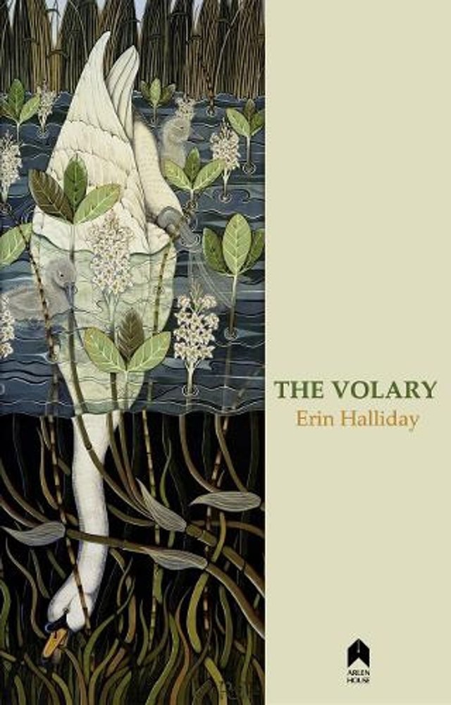 The Volary by Erin Halliday (English) Paperback Book
