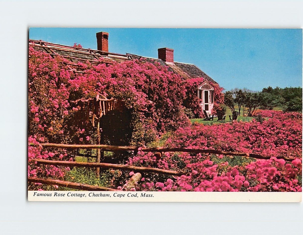 Postcard Famous Rose Cottage Chatham Cape Cod Massachusetts USA