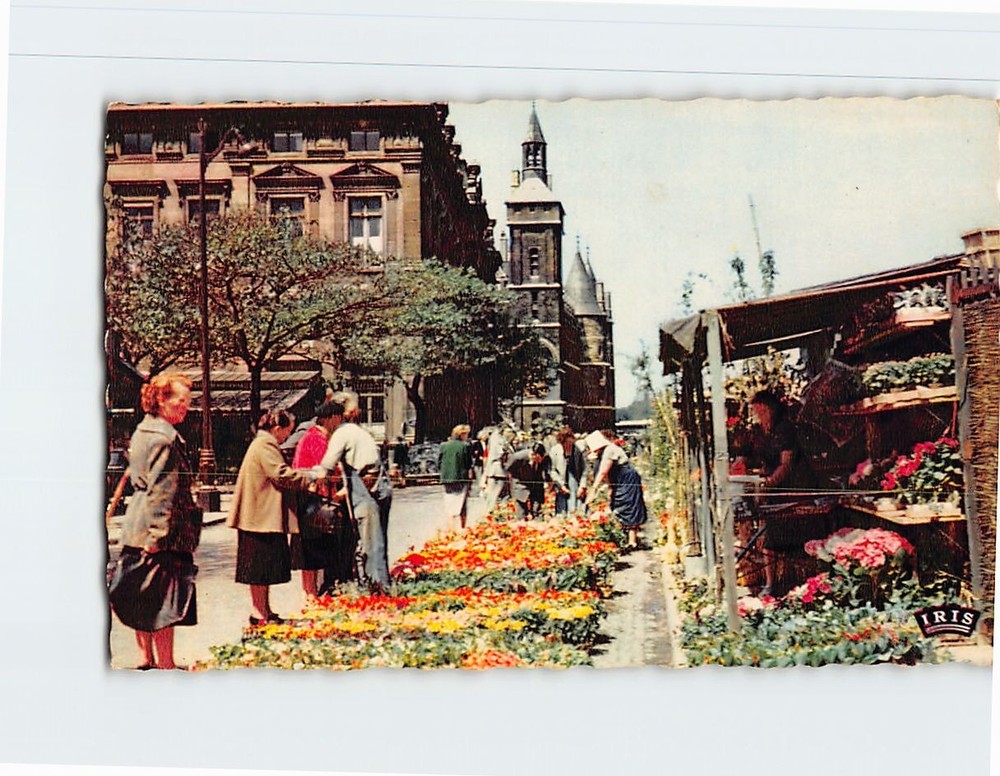 Postcard Le Quai aux Fleurs Paris France