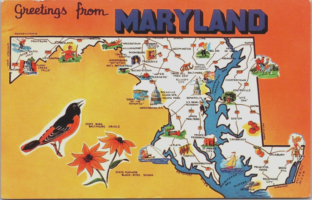 Greetings From Maryland, Baltimore Oriole State Bird,  Map Postcard