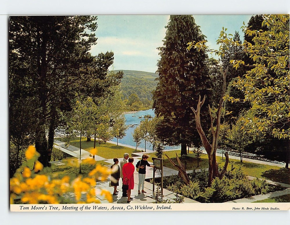 Postcard Tom Moore's Tree Meeting of Waters Avoca Wicklow Ireland