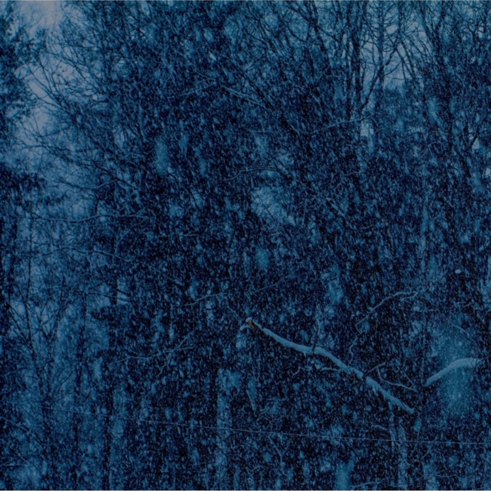 Jesu Never New LP Vinyl Limited Edition Heavyweight Vinyl