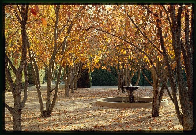 Photo:Columbus Indiana Miller House Garden Fountain 1950s Autumn Trees