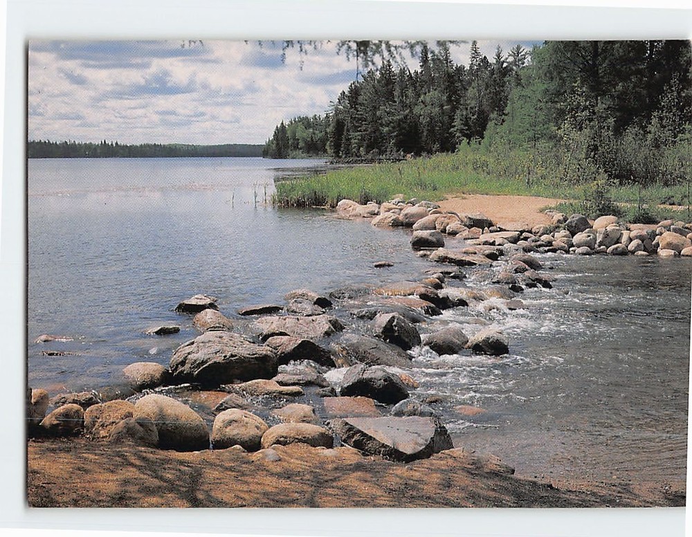 Postcard Mississippi Headwaters Itasca State Park Minnesota USA