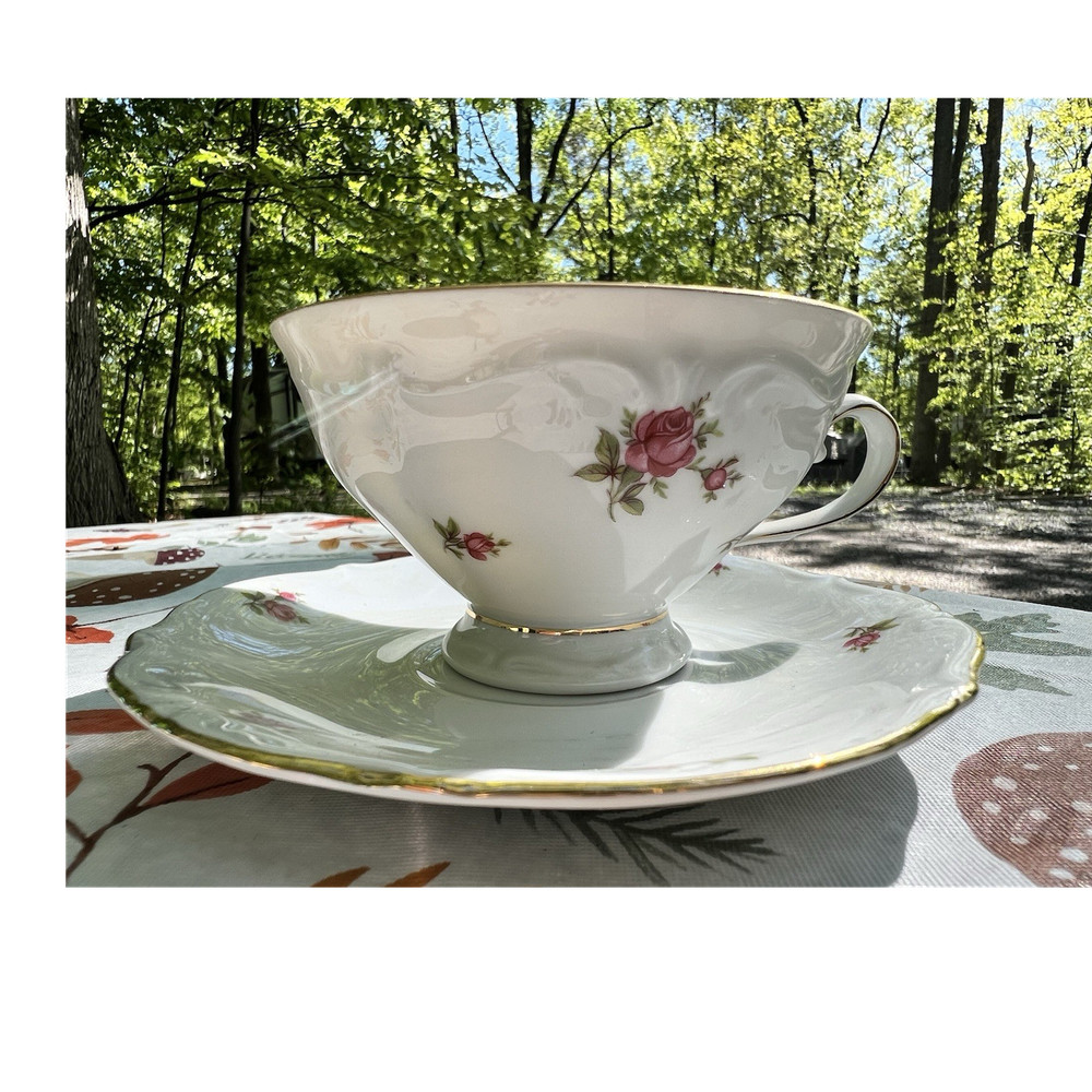 Bavaria Porcelain Tea Cup Saucer Set Floral Pink Rose Gold Trim Western Germany