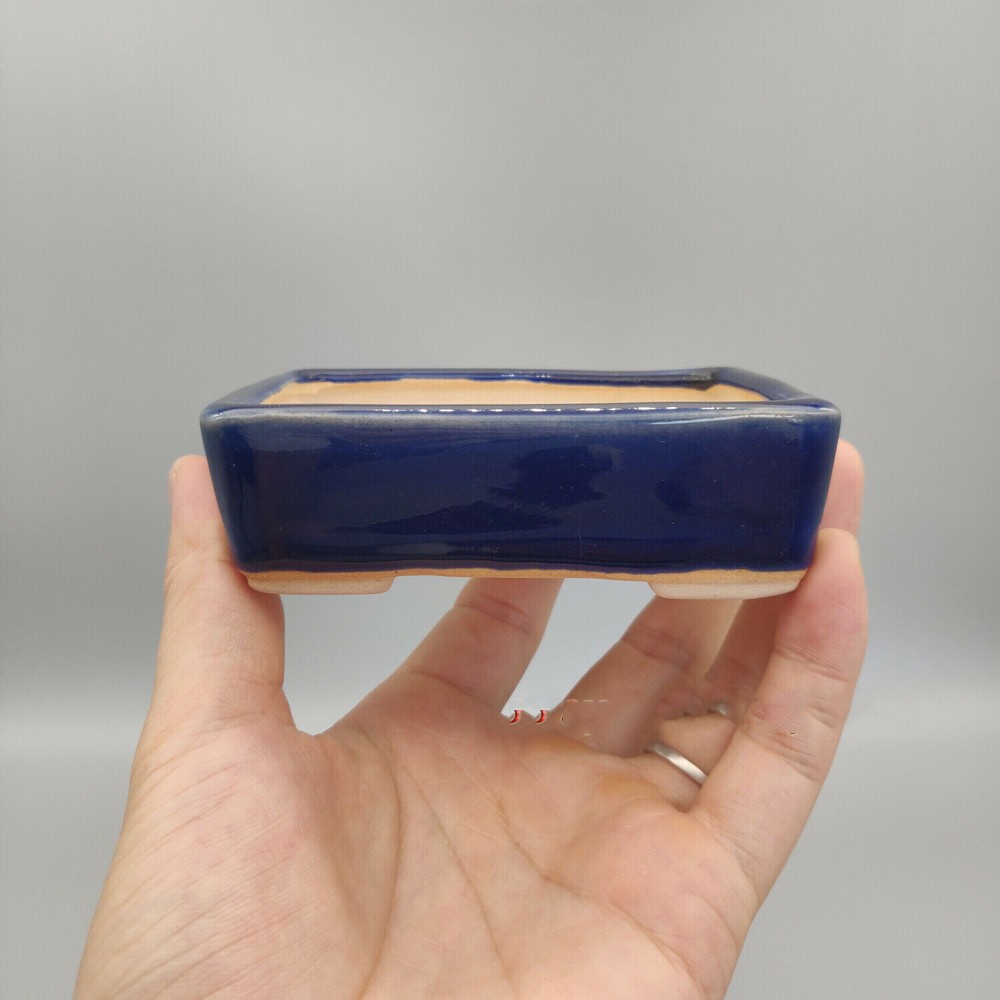 Dark Blue Glazed Rectangular Shallow Bonsai Pot Mame Penjing