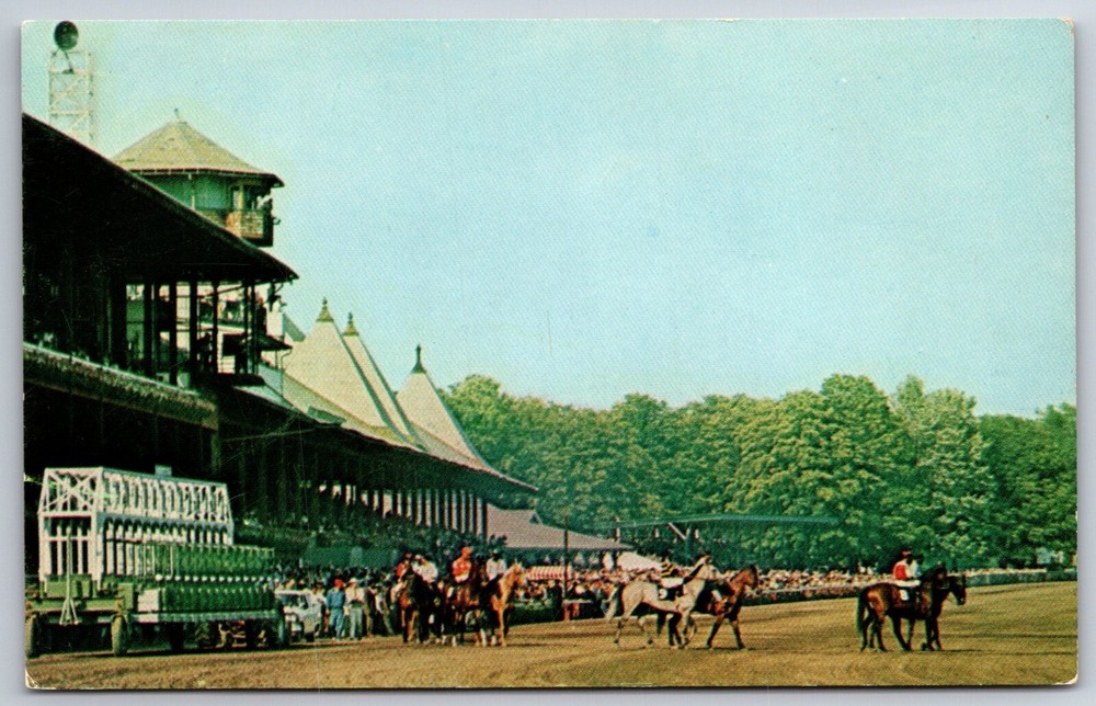 Sports~New York~Thoroughbreds @ Saratoga Horse Race Track~Postmarked~Postcard