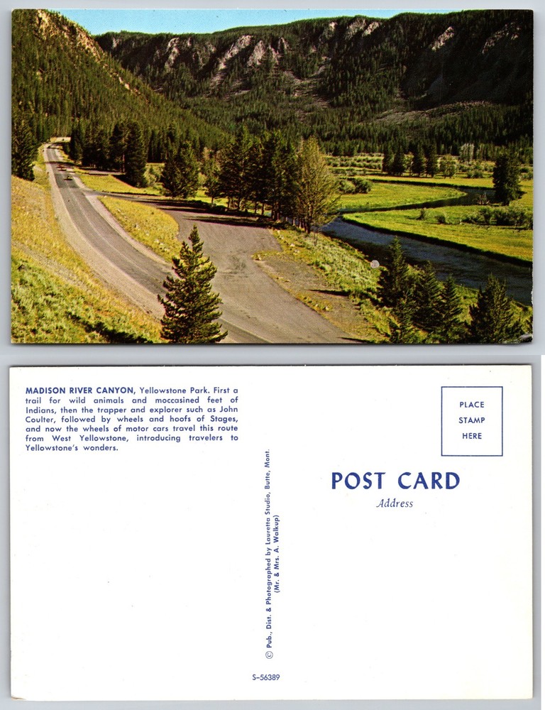 Madison River Canyon Yellowstone Park Postcard