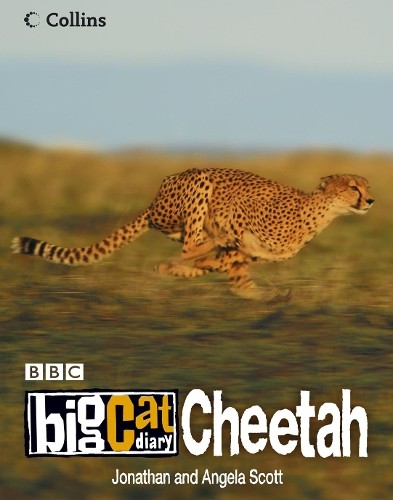 Big Cat Diary: Cheetah by Scott, Angela Paperback Book The Fast Free ShippingFREE US DELIVERY | ISBN: 0007211805 | Quality Books
