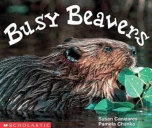 Busy Beavers (Emergent Readers) - Paperback, by Susan Canizares - Very Good