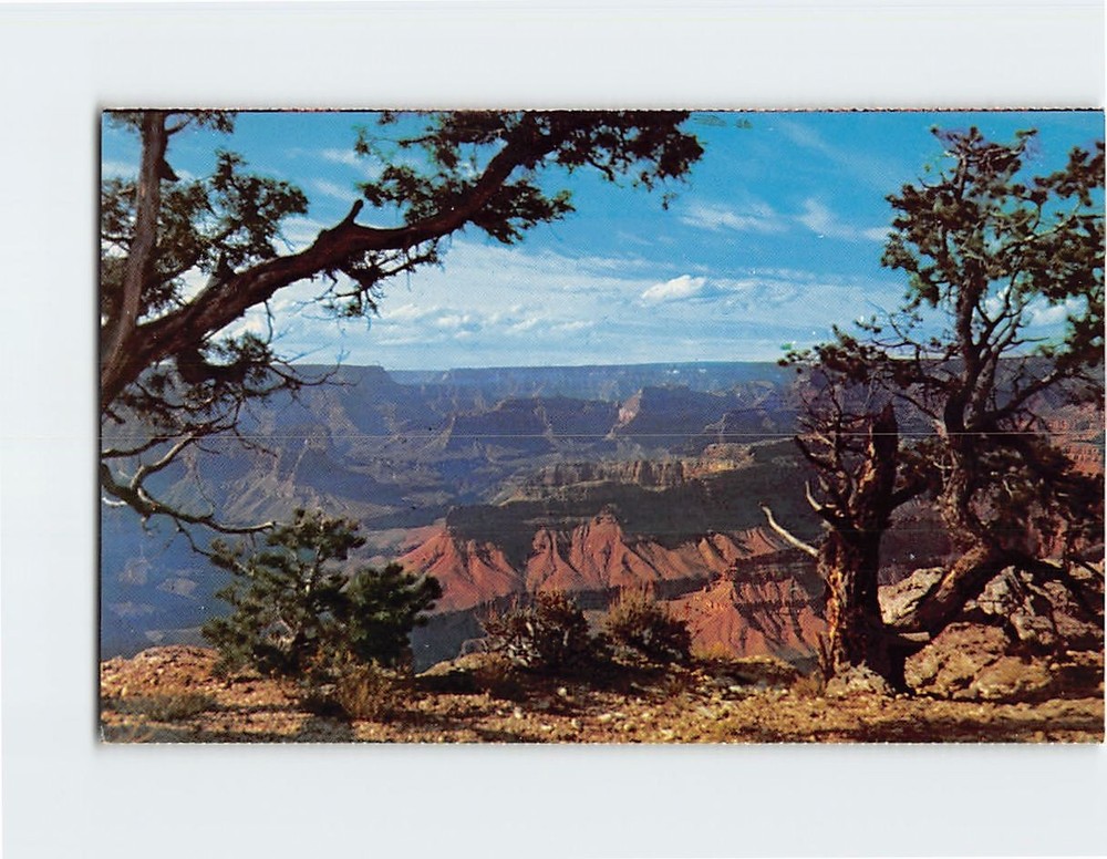 Postcard South Rim Grand Canyon National Park Arizona USA