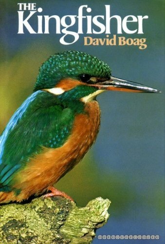 The Kingfisher by Boag, David Hardback Book The Fast Free Shipping
