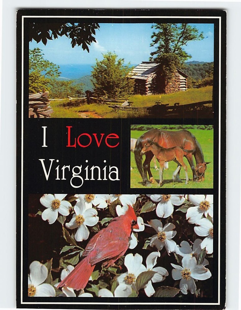 Postcard Scenes & Views Virginia USA