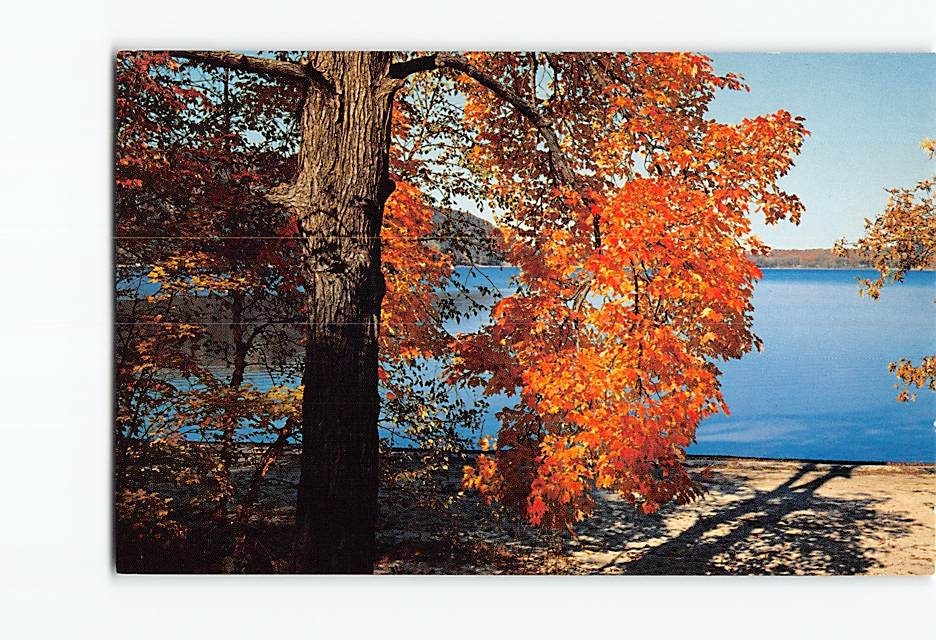 Postcard Autumn Maple at the Lakeside Thomas Peters Lake Photo Sun Wisconsin USA