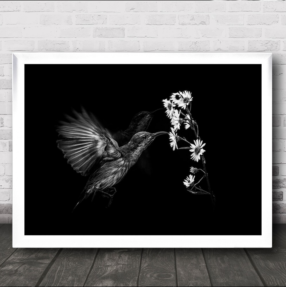Motion Dark Low Key Low-Key Bird Birds B&W Graphic Flower Flowers Wall Art Print