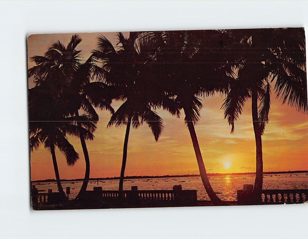 Postcard Florida Sunset USA North America