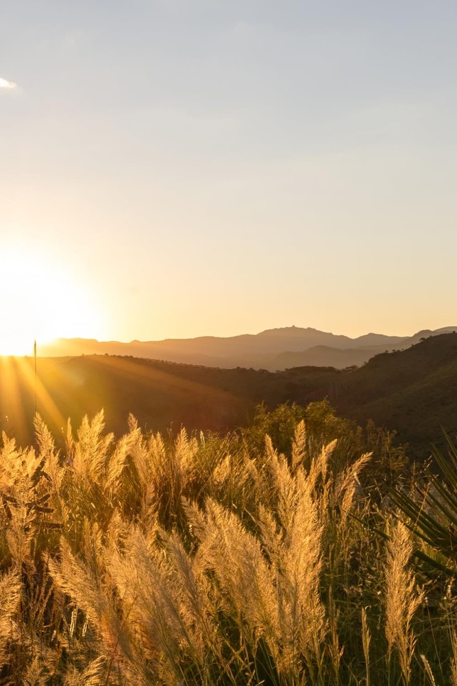 Rise to the Occasion: A Personal Journal