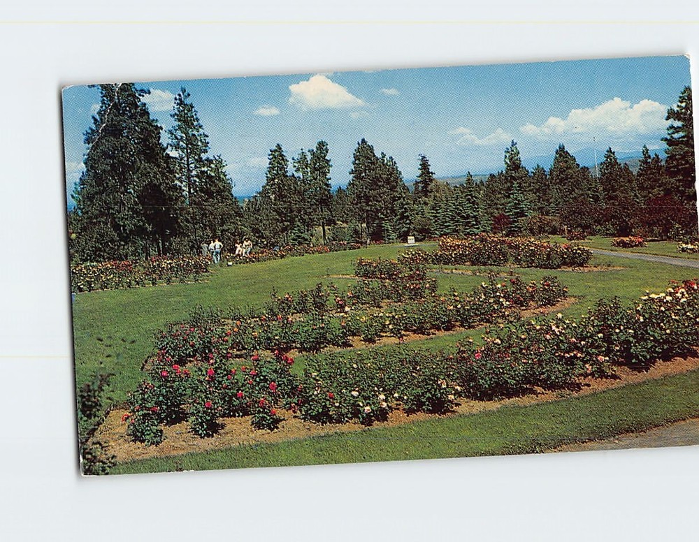 Postcard Rose Gardens Manito Park Spokane Washington