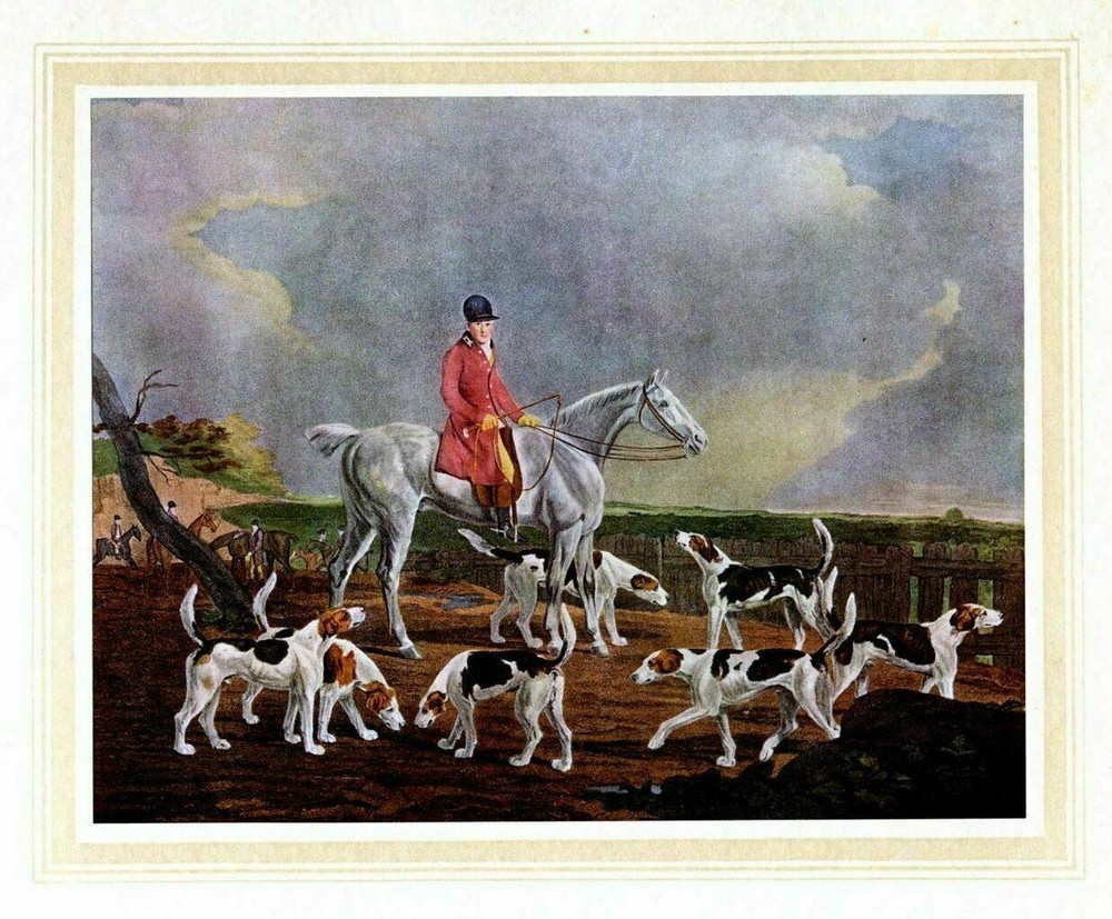 Foxhound, Hunting Fox On Horseback With Foxhounds, Hunt
