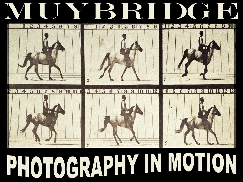 11498. Póster sobre decorativo. Decoración de arte de pared. Fotografía muybridge. Equino