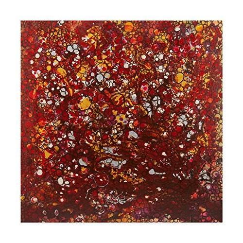 Dimension Red Orange by Hilary Winfield, 18x18-Inch