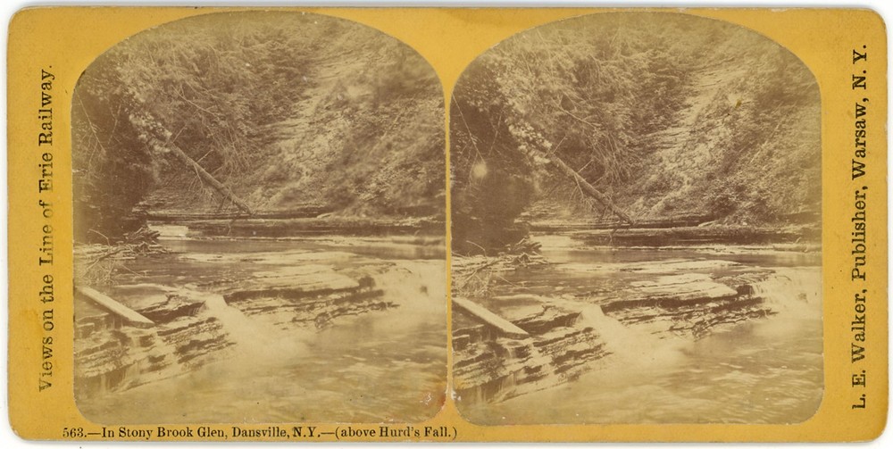 NEW YORK SV - Dansville - Stony Brook Glen - LE Walker 1870s