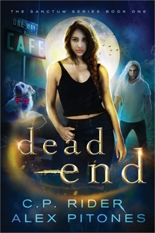 Dead End (Paperback or Softback)