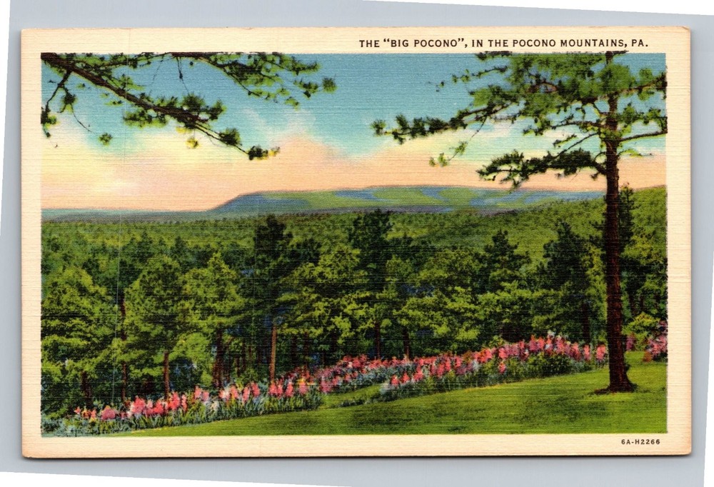Vintage Linen Postcard Big Pocono Mountains PA Scenic View