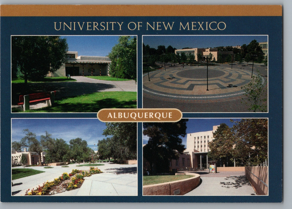 NM Albuquerque University of New Mexico Multiview Unposted 6x4 Postcard