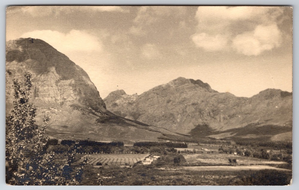 South Africa Cape Town Orchard Winelands? 1936 Matching Cancel Photo Postcard