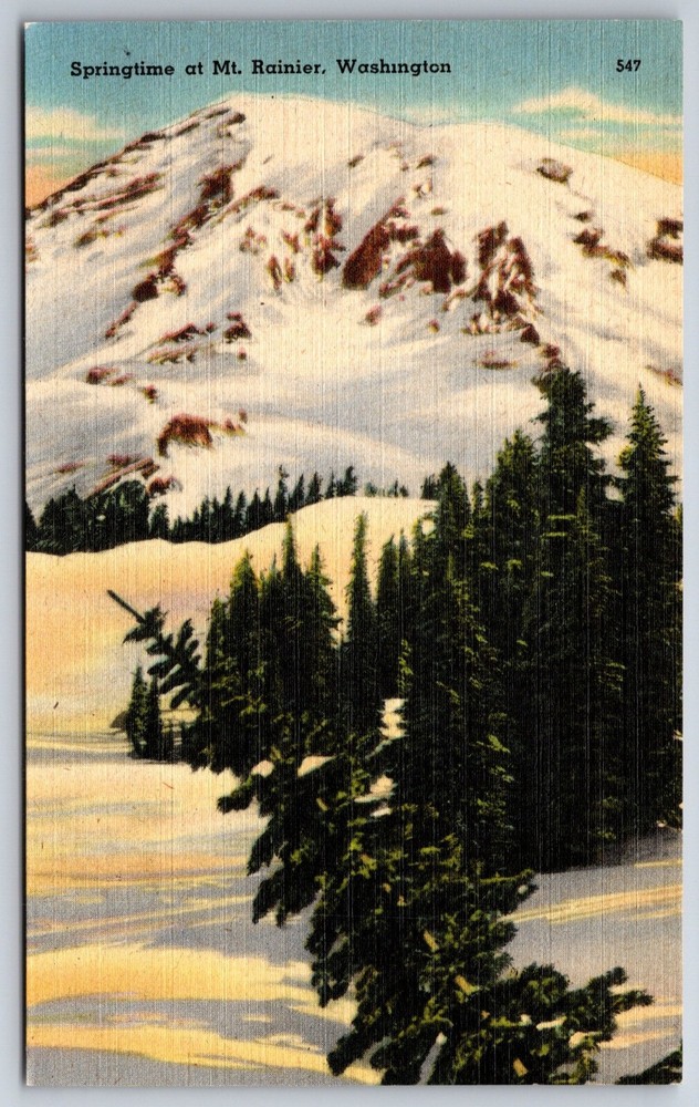 Washington~Springtime View On Alta Vista @ Mt Rainier Natl Park~Linen Postcard