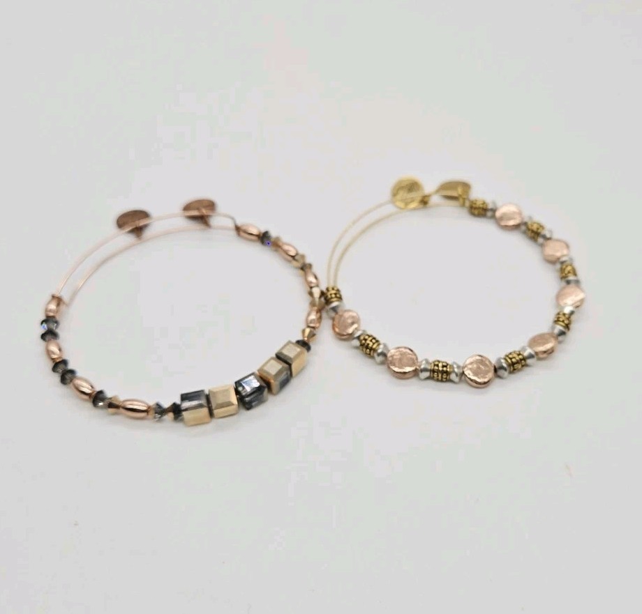 Alex and Ani Charm Bracelet Lot of 2 Rose Gold tone Bangle boho energy OSFM #2