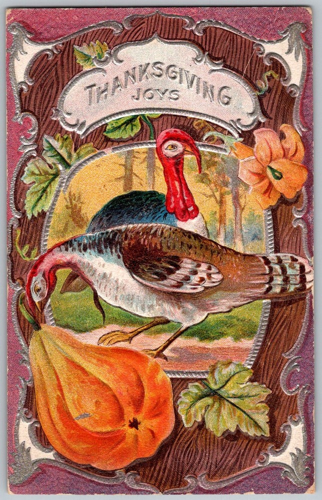 Antique Postcard Thanksgiving Turkey & Gourd Cleveland, OH 1910s