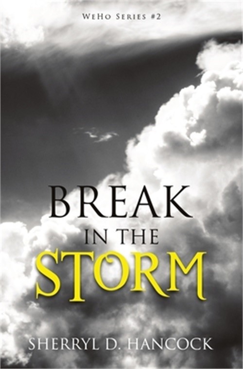 Break in the Storm (Paperback or Softback)