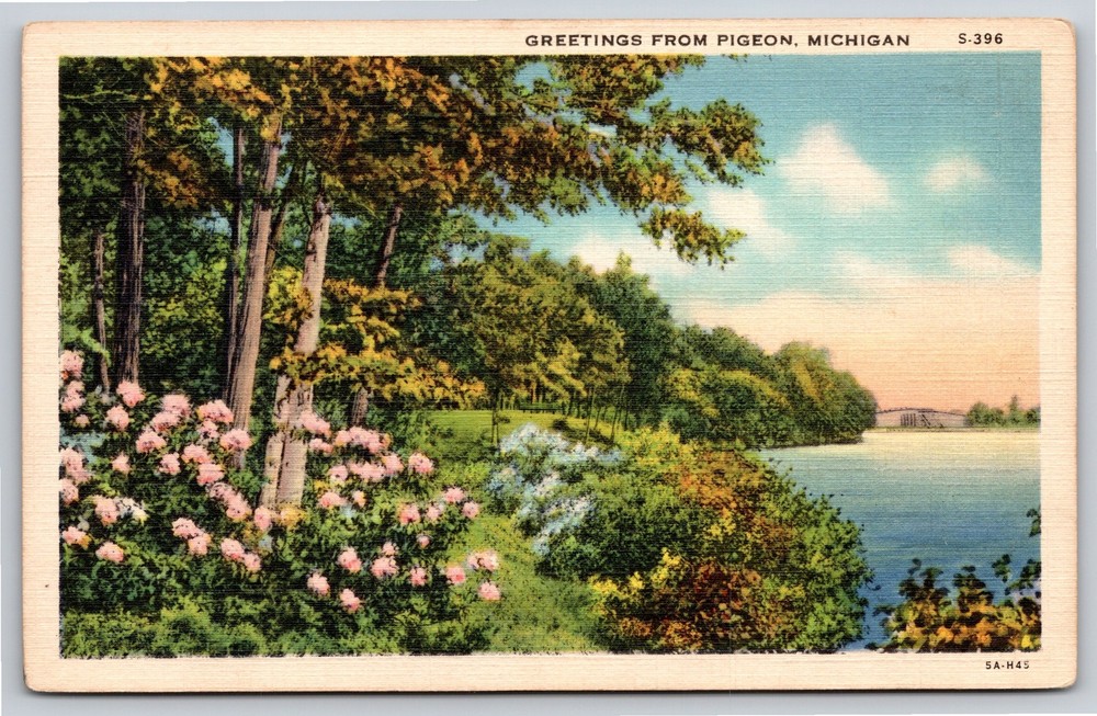 Greetings From Pigeon Michigan~Lake Shore Scenic View~Vintage Linen Postcard