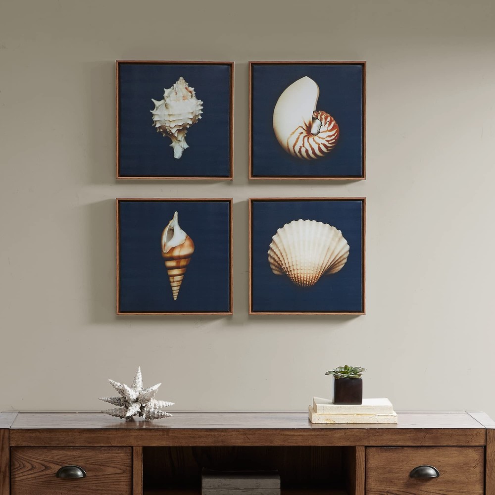 Madison Park, Ocean Seashells 4 Piece Set Wall Art Framed Canvas, Modern Coas...