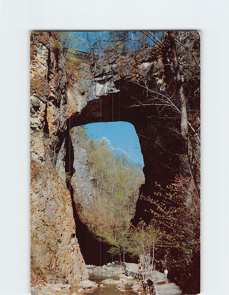 Postcard Natural Bridge Virginia USA