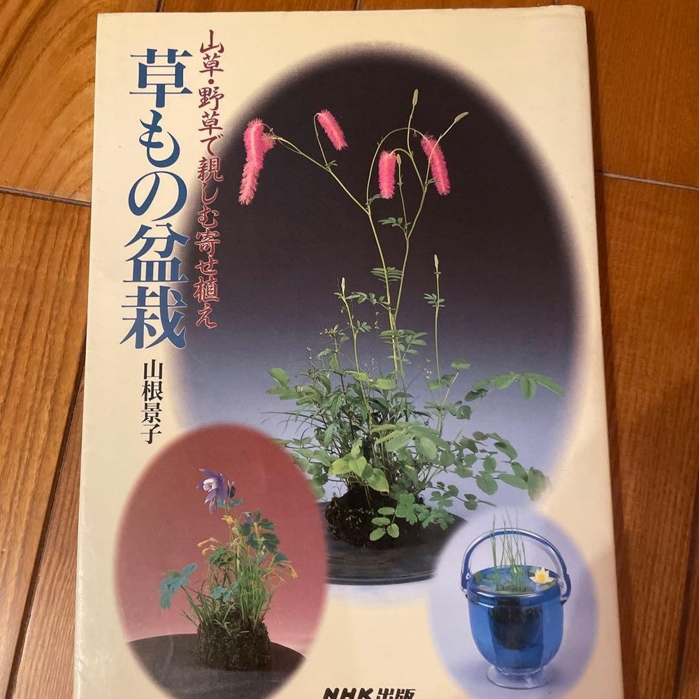 Plant Bonsai Keiko Yamane 2023 NHK Publishing Grass Bonsai Techniques Guide