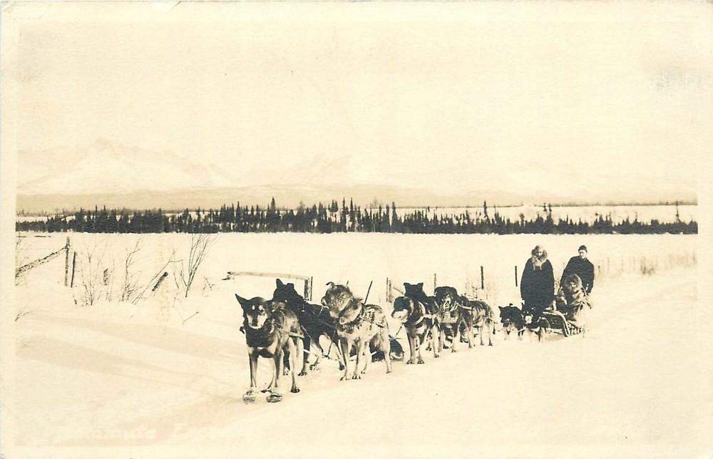 1920s Palmer Alaska Dog Sled Team Winter Scene RPPC Postcard 26-4732