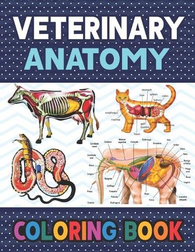Darkeylone Publication Veterinary Anatomy Coloring Book (Paperback)Another great item from Rarewaves USA | Free delivery!