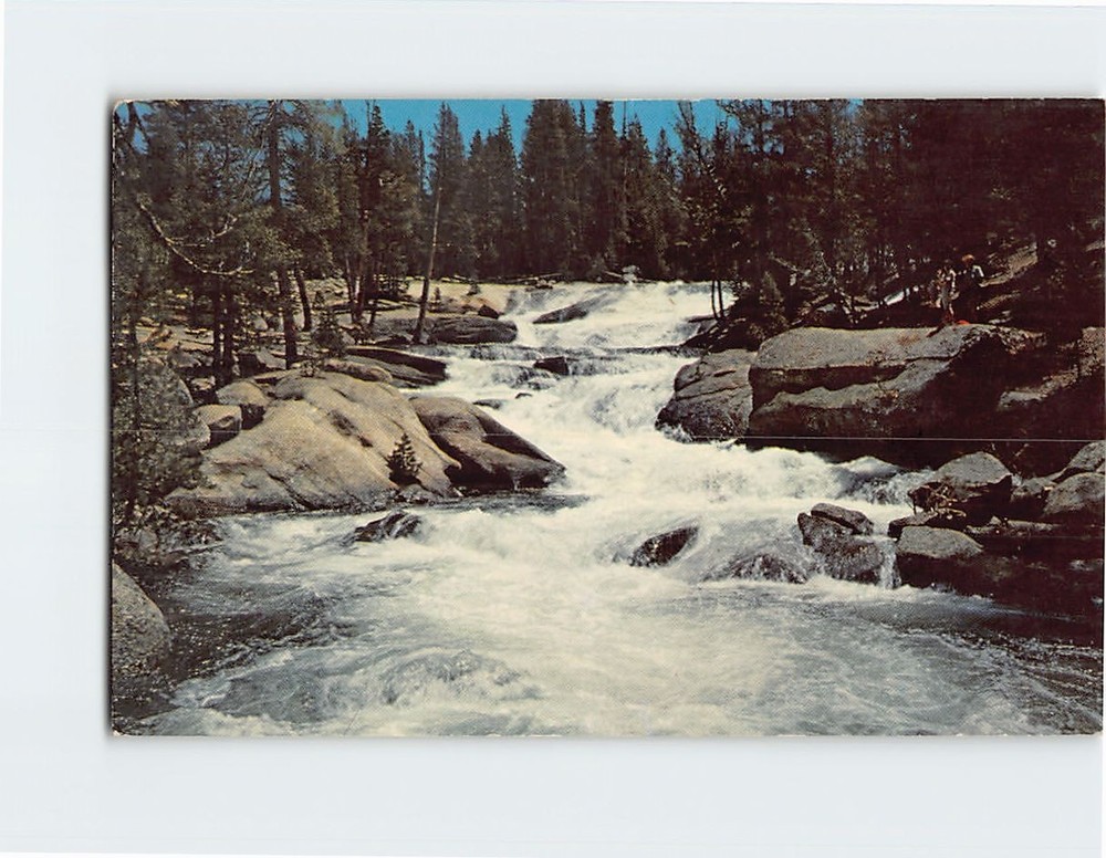Postcard Dana Fork Tuolumine River Yosemite National Park California USA